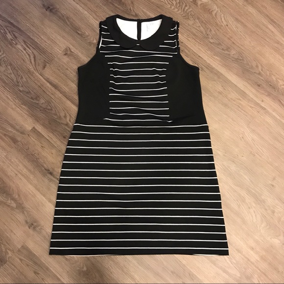 A-Line Peter Pan Collar Dress - Picture 3 of 4